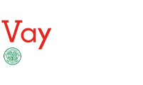 Vaycasino Logo